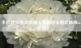 手机音乐格式转换（手机音乐格式转换mp3免费）