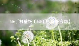 360手机壁纸（360手机壁纸官网）