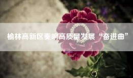 榆林高新区奏响高质量发展“奋进曲”