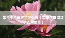 苹果手机屏坏了怎么办（苹果手机屏坏了去哪里修）