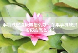 手机触屏没反应怎么办（苹果手机触屏没反应怎么办）