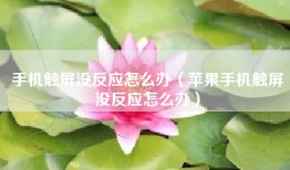 手机触屏没反应怎么办（苹果手机触屏没反应怎么办）