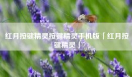 红月按键精灵按键精灵手机版「红月按键精灵」