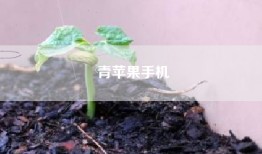 青苹果手机