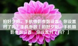 拍好夕阳，手机摄影参数设置，你设置对了吗？手机参数「拍好夕阳，手机摄影参数设置，你设置对了吗？」