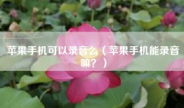 苹果手机可以录音么（苹果手机能录音嘛？）