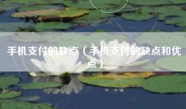 手机支付的缺点（手机支付的缺点和优点）