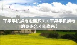 苹果手机换电池要多久（苹果手机换电池要多久才能换完）