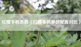 红魔手机参数（红魔手机参数配置对比）