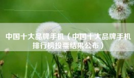 中国十大品牌手机（中国十大品牌手机排行榜投票结果公布）