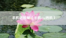 手机烤机是（手机cpu烤机）