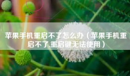 苹果手机重启不了怎么办（苹果手机重启不了,重启键无法使用）