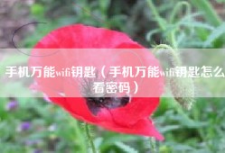 手机万能wifi钥匙（手机万能wifi钥匙怎么看密码）