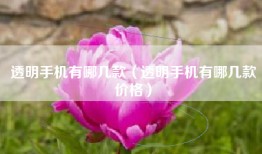 透明手机有哪几款（透明手机有哪几款价格）