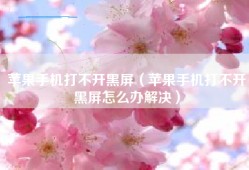 苹果手机打不开黑屏（苹果手机打不开黑屏怎么办解决）