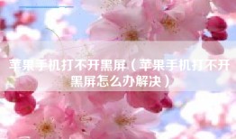 苹果手机打不开黑屏（苹果手机打不开黑屏怎么办解决）