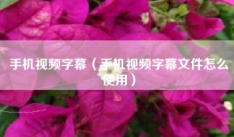 手机视频字幕（手机视频字幕文件怎么使用）