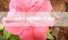 币圈不来行情的12大原因