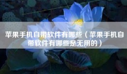 苹果手机自带软件有哪些（苹果手机自带软件有哪些是无用的）