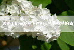 透明手机壳发黄（透明手机壳发黄的原因）