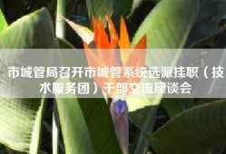 市城管局召开市城管系统选派挂职（技术服务团）干部交流座谈会