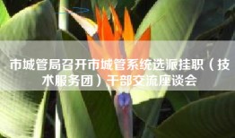市城管局召开市城管系统选派挂职（技术服务团）干部交流座谈会