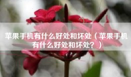 苹果手机有什么好处和坏处（苹果手机有什么好处和坏处？）