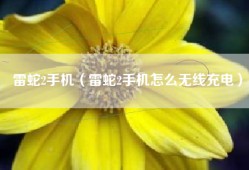 雷蛇2手机（雷蛇2手机怎么无线充电）