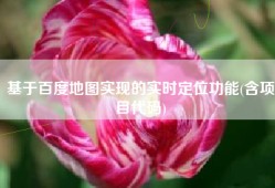 基于百度地图实现的实时定位功能(含项目代码)
