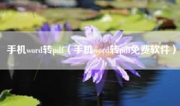 手机word转pdf（手机word转pdf免费软件）