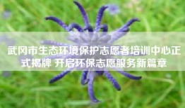 武冈市生态环境保护志愿者培训中心正式揭牌 开启环保志愿服务新篇章