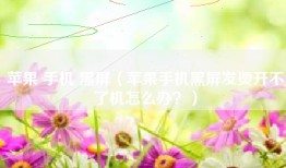 苹果 手机 黑屏（苹果手机黑屏发烫开不了机怎么办？）