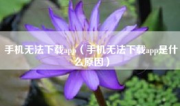 手机无法下载app（手机无法下载app是什么原因）