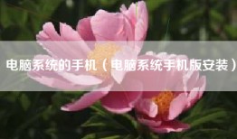 电脑系统的手机（电脑系统手机版安装）