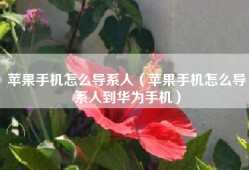 苹果手机怎么导系人（苹果手机怎么导系人到华为手机）