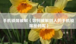 手机锁屏破解（如何破解别人的手机锁屏密码呢）