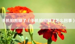 手机拍照糊了（手机拍照糊了怎么回事）