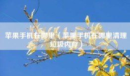 苹果手机在哪里（苹果手机在哪里清理垃圾内存）