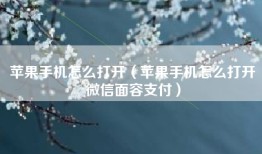 苹果手机怎么打开（苹果手机怎么打开微信面容支付）