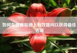如何在百度知道上有效提问以获得最佳答案