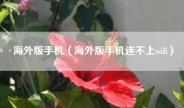海外版手机（海外版手机连不上wifi）