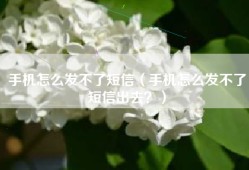 手机怎么发不了短信（手机怎么发不了短信出去？）