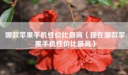 哪款苹果手机性价比最高（现在哪款苹果手机性价比最高）