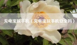 充电宝玩手机（充电宝玩手机安全吗）