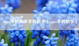 oppo手机助手手机助手「oppo手机助手」