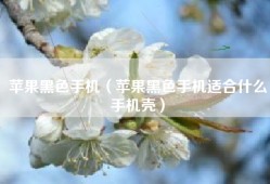 苹果黑色手机（苹果黑色手机适合什么手机壳）