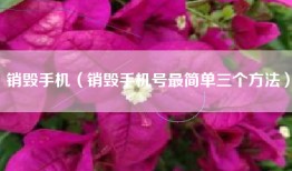 销毁手机（销毁手机号最简单三个方法）