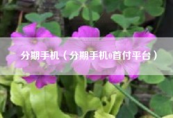 分期手机（分期手机0首付平台）