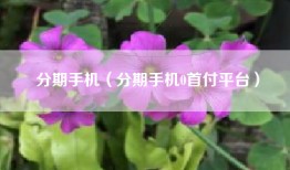 分期手机（分期手机0首付平台）