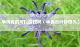手机真的可以赚钱吗（手机真能挣钱吗）